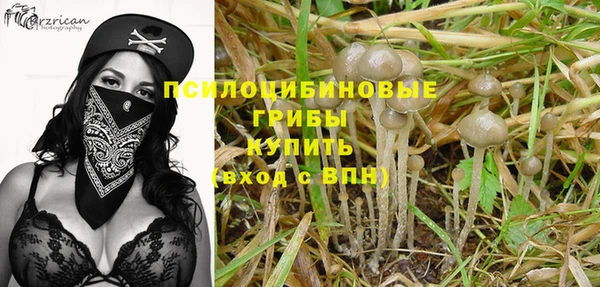mix Алексин
