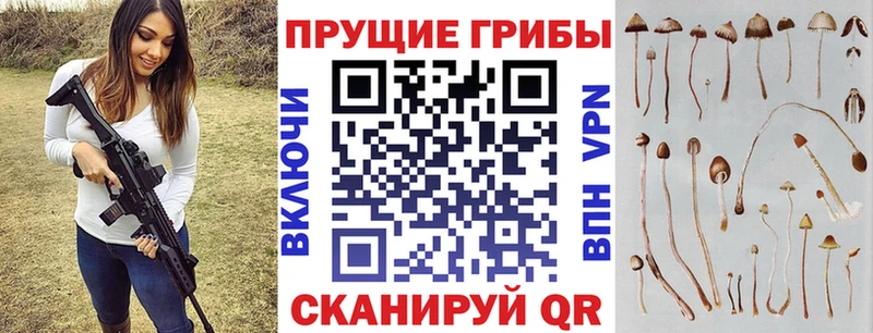 blacksprut зеркало Урюпинск Псилоцибиновые грибы MAGIC MUSHROOMS